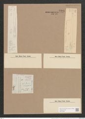Synedra ulna var. danica (Kuetz.) V.H. (de-Toni-Nr.: Genus 66, Species 2584) Zeichnungen Sammlung Grunow Nr. 5204 (NHMW-BOT-W0373568)